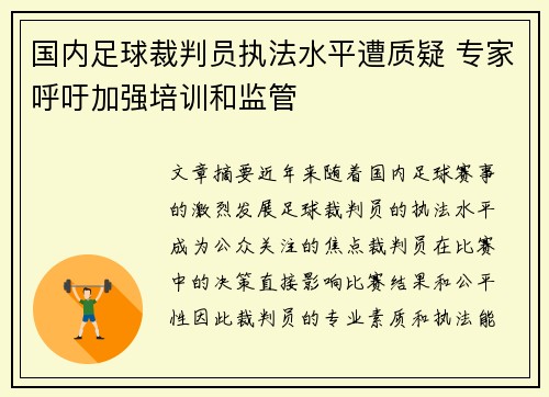 国内足球裁判员执法水平遭质疑 专家呼吁加强培训和监管