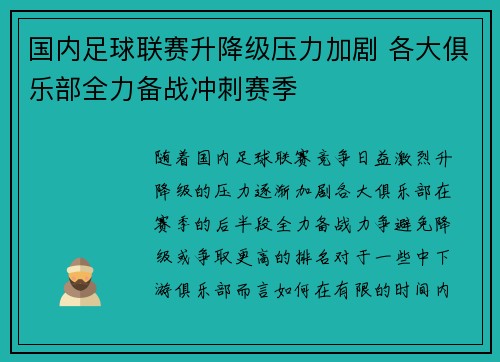 国内足球联赛升降级压力加剧 各大俱乐部全力备战冲刺赛季