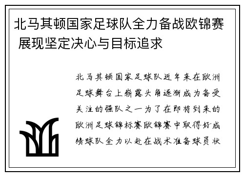 北马其顿国家足球队全力备战欧锦赛 展现坚定决心与目标追求